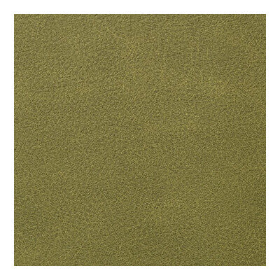 KRAVET CONTRACT OVERLOOK.3.0 OVERLOOK VERDE Fabric - Eade's Wallpaper