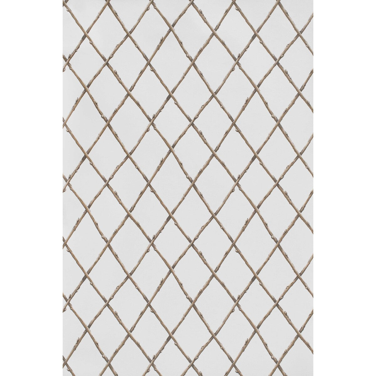 LEE JOFA P2025106.1116.0 BARE TWIG TRELLIS WP BROWN Wallpaper - Eade's Wallpaper