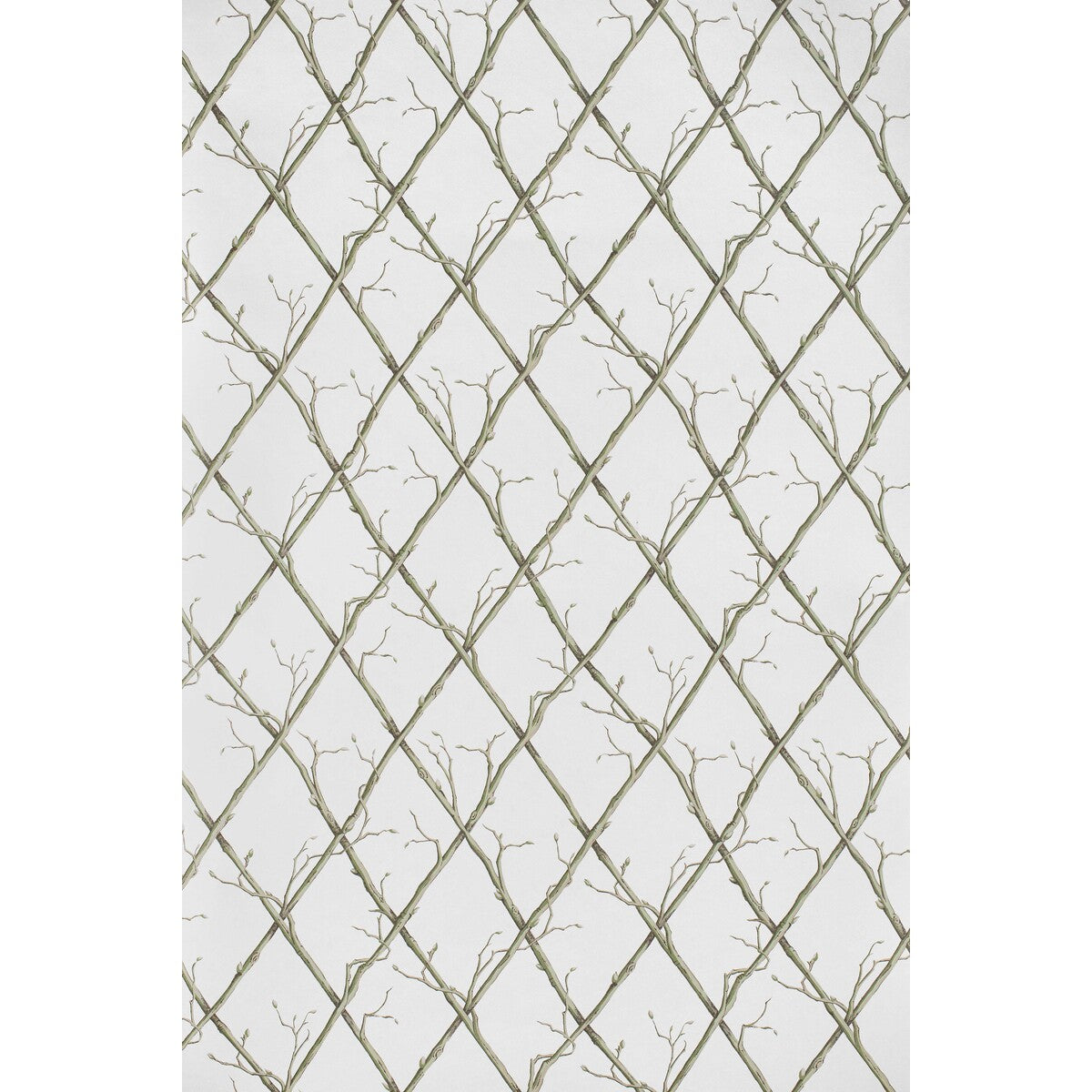 LEE JOFA P2025108.123.0 TWIG TRELLIS WP GREEN Wallpaper - Eade's Wallpaper