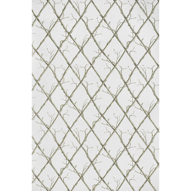LEE JOFA P2025108.123.0 TWIG TRELLIS WP GREEN Wallpaper - Eade's Wallpaper