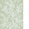 LEE JOFA CAMELLIA TOILE WP P2026103.130.0 in PEAR Wallpaper 