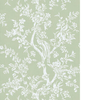 LEE JOFA CAMELLIA TOILE WP P2026103.130.0 in PEAR Wallpaper 