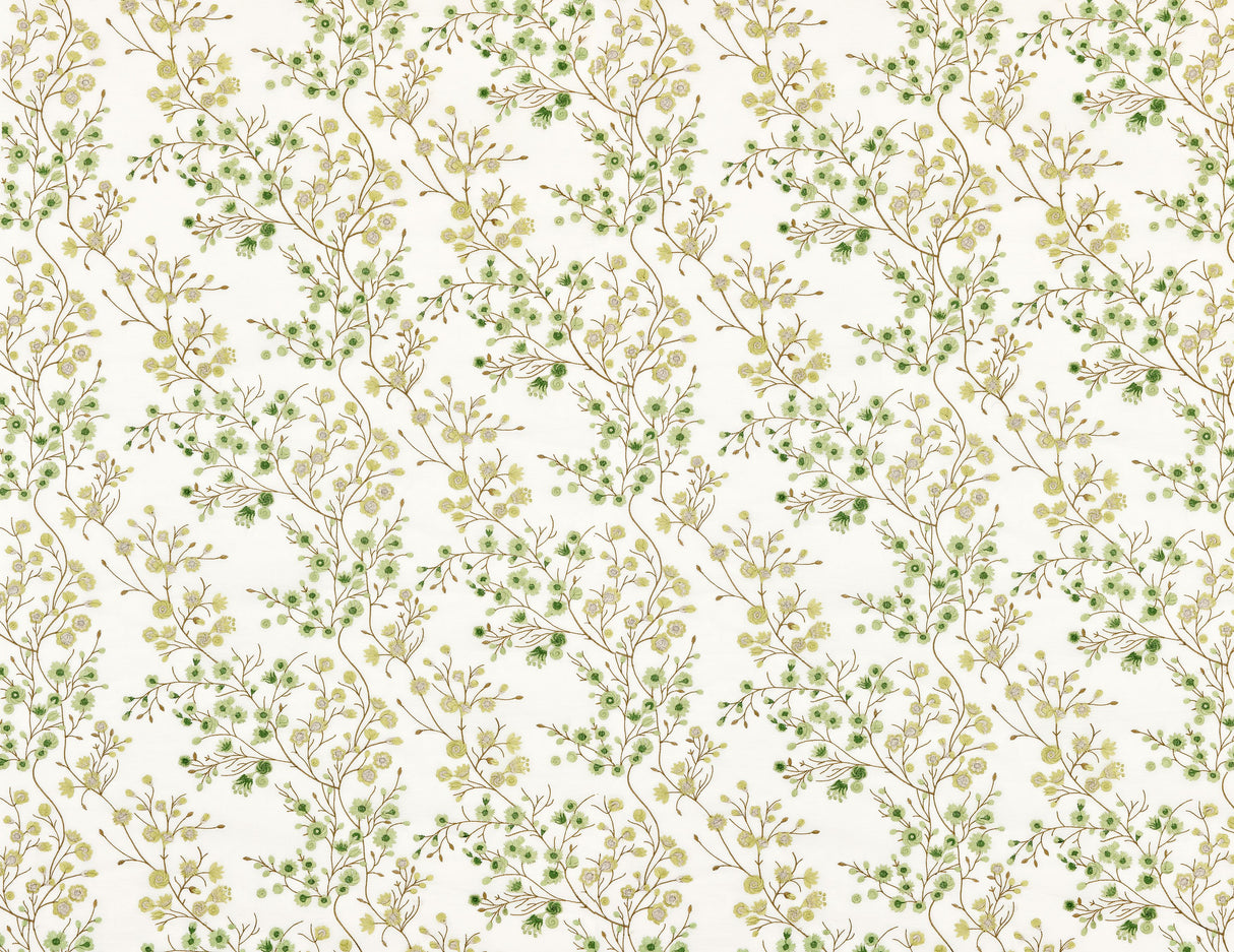 Scalamandre P4 00019863 FERN LILETTE SHEER Fabric