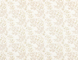 Scalamandre P4 00029863 IVORY LILETTE SHEER Fabric