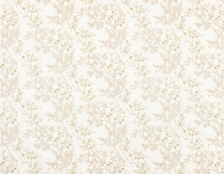 Scalamandre P4 00029863 IVORY LILETTE SHEER Fabric