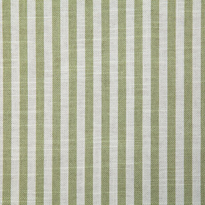 Pindler ALBERT SAGE P6710 Fabric - Fabric Collection