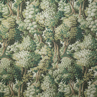 Pindler ABBIENTE EVERGREEN P6732 Fabric - Fabric Collection