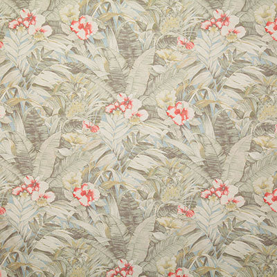 Pindler PALMER NATURAL P6756 Fabric - Fabric Collection
