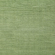 Pindler MATTHEWS LEAF P6762 Fabric - Fabric Collection