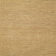 Pindler MATTHEWS OCHRE P6762 Fabric - Fabric Collection