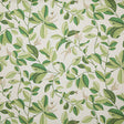 Pindler SPRINGDALE PALM P6805 Fabric