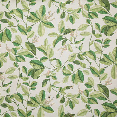 Pindler SPRINGDALE PALM P6805 Fabric