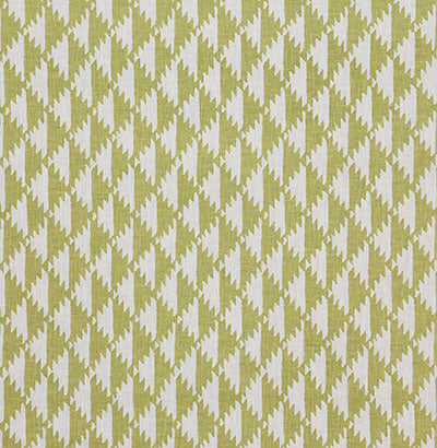 Pindler BORREGO GREEN P6832 Fabric