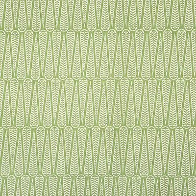 Pindler JUNIE LIME P6858 Fabric