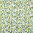 Pindler LISETTE LIME P6860 Fabric