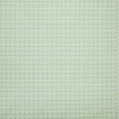 Pindler AUGUSTINE PALM P6872 Fabric