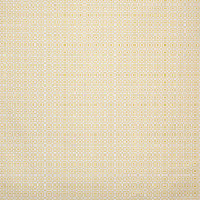 Pindler AUGUSTINE SUNNY P6872 Fabric