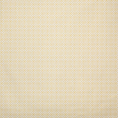 Pindler AUGUSTINE SUNNY P6872 Fabric