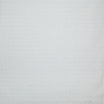 Pindler AUGUSTINE SURF P6872 Fabric