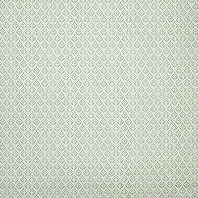 Pindler ALYS PISTACHIO P6873 Fabric