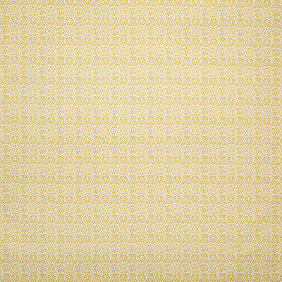 Pindler PANAMA SUNNY P6874 Fabric