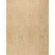 BRUNSCHWIG & FILS P8013142.16.0 WOOD TAN Wallpaper - Eade's Wallpaper