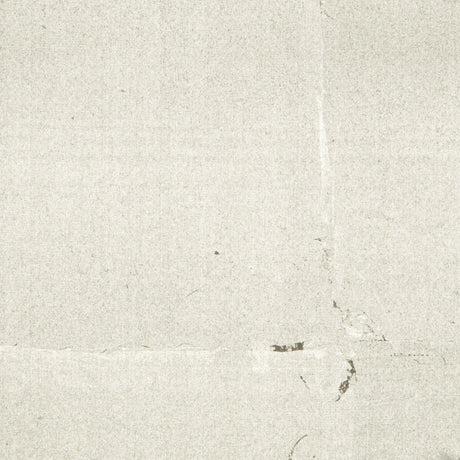 BRUNSCHWIG & FILS P8015129.1121.0 HOTAKA GRAPHITE Wallpaper - Eade's Wallpaper