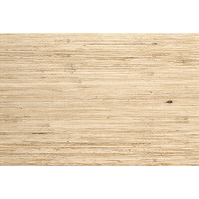 BRUNSCHWIG & FILS P8015141.101.0 UMAJI IVORY Wallpaper - Eade's Wallpaper