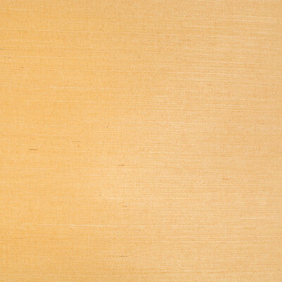 BRUNSCHWIG & FILS P8015145.22.0 BF BF::  Wallpaper - Eade's Wallpaper