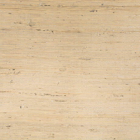 BRUNSCHWIG & FILS P8015146.1016.0 KOCHI SAND Wallpaper - Eade's Wallpaper