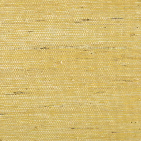 BRUNSCHWIG & FILS P8015146.4.0 KOCHI GOLD Wallpaper - Eade's Wallpaper