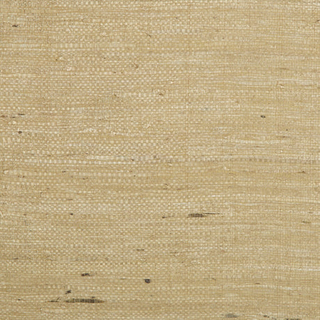 BRUNSCHWIG & FILS P8015146.61.0 KOCHI TAN Wallpaper - Eade's Wallpaper