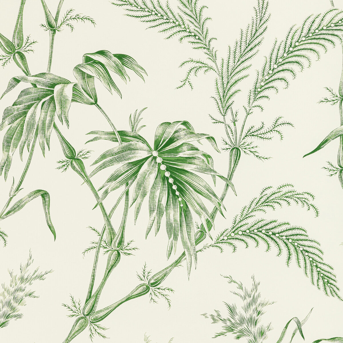 BRUNSCHWIG & FILS P8020113.3.0 LAUZIERE GREEN Wallpaper - Eade's Wallpaper