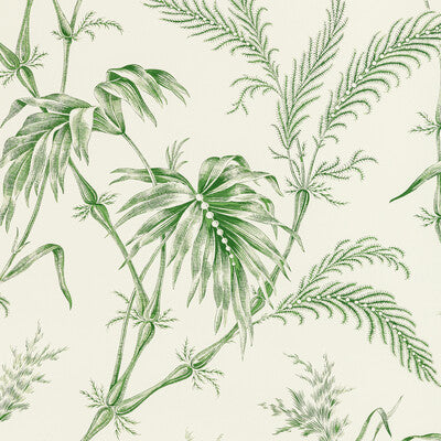 BRUNSCHWIG & FILS P8020113.3.0 LAUZIERE GREEN Wallpaper - Eade's Wallpaper