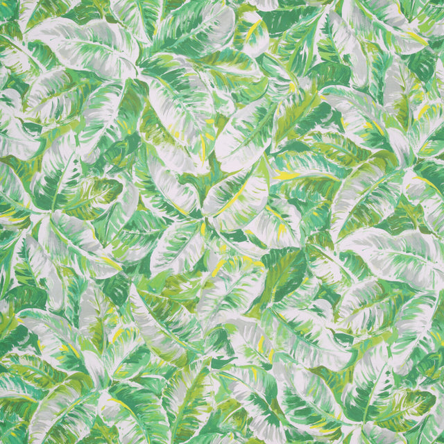 BRUNSCHWIG & FILS P8022109.3.0 DIANI LEAF Wallpaper - Eade's Wallpaper
