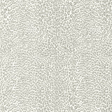 BRUNSCHWIG & FILS P8023107.11.0 PETIT LEOPARD GRAY Wallpaper - Eade's Wallpaper