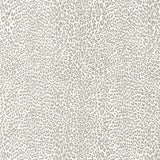 BRUNSCHWIG & FILS P8023107.11.0 PETIT LEOPARD GRAY Wallpaper - Eade's Wallpaper