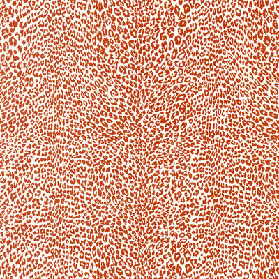 BRUNSCHWIG & FILS P8023107.12.0 PETIT LEOPARD ORANGE Wallpaper - Eade's Wallpaper