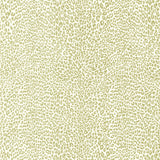 BRUNSCHWIG & FILS P8023107.16.0 PETIT LEOPARD BEIGE Wallpaper - Eade's Wallpaper
