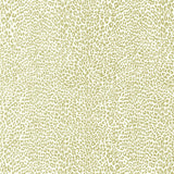 BRUNSCHWIG & FILS P8023107.16.0 PETIT LEOPARD BEIGE Wallpaper - Eade's Wallpaper