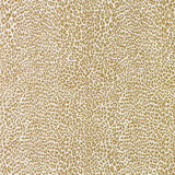 BRUNSCHWIG & FILS P8023107.4.0 PETIT LEOPARD GOLD Wallpaper - Eade's Wallpaper