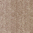 BRUNSCHWIG & FILS P8023107.6.0 PETIT LEOPARD CHOCOLATE Wallpaper - Eade's Wallpaper