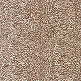 BRUNSCHWIG & FILS P8023107.6.0 PETIT LEOPARD CHOCOLATE Wallpaper - Eade's Wallpaper