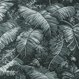BRUNSCHWIG & FILS P8023109.21.0 FEUILLES DE BANANIER GRIS Wallpaper - Eade's Wallpaper