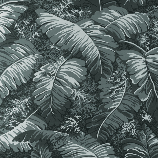 BRUNSCHWIG & FILS P8023109.21.0 FEUILLES DE BANANIER GRIS Wallpaper - Eade's Wallpaper