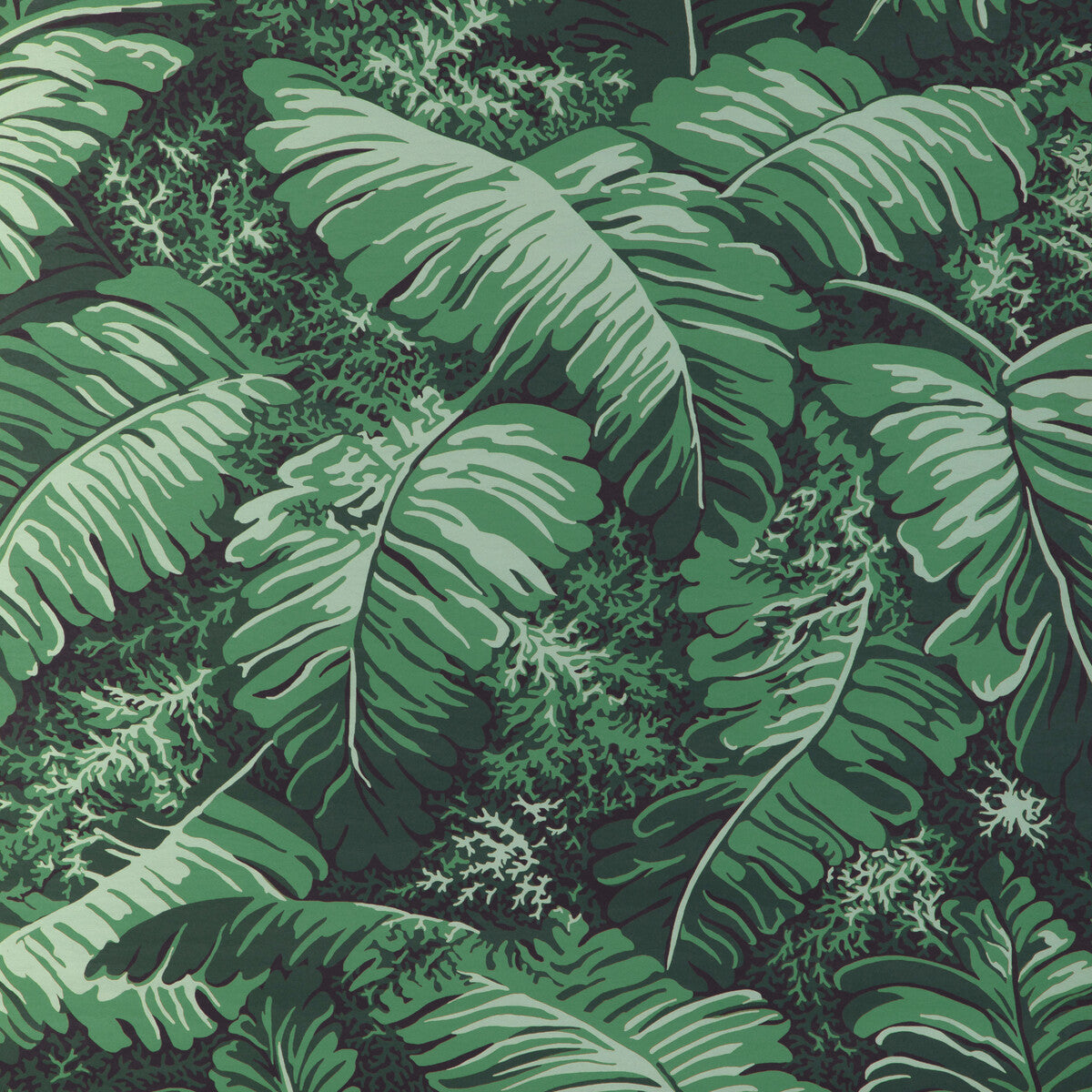 BRUNSCHWIG & FILS P8023109.33.0 FEUILLES DE BANANIER IVY Wallpaper - Eade's Wallpaper
