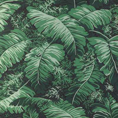 BRUNSCHWIG & FILS P8023109.33.0 FEUILLES DE BANANIER IVY Wallpaper - Eade's Wallpaper