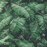 BRUNSCHWIG & FILS P8023109.33.0 FEUILLES DE BANANIER IVY Wallpaper - Eade's Wallpaper