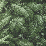 BRUNSCHWIG & FILS P8023109.3.0 FEUILLES DE BANANIER LEAF Wallpaper - Eade's Wallpaper