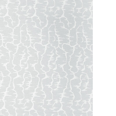 BRUNSCHWIG & FILS LEVES WC P8025102.11.0 in GREY Wallpaper -